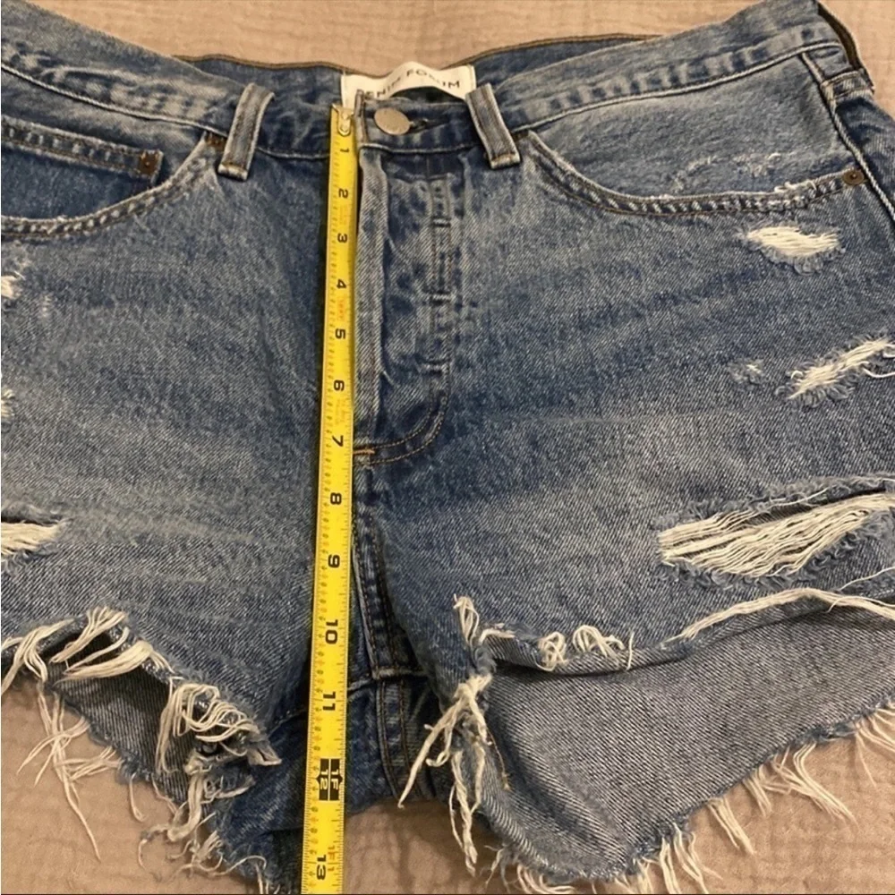 Denim Forum aritzia denim